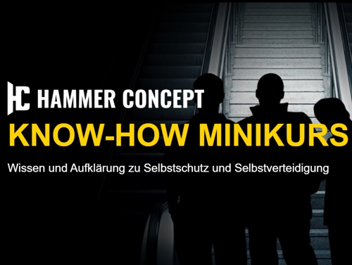 Minikurs Hammer Concept Know-How